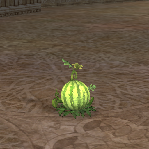 ev_unripe_watermelon