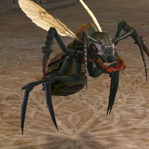 noble_ant