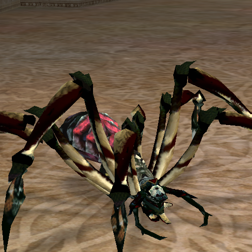 marsh_spider