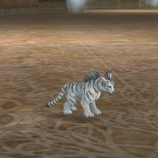 baby_tiger_thief